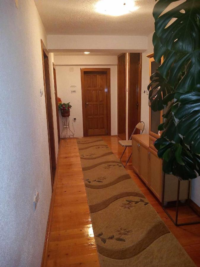 Apartment Little Village Plav Ngoại thất bức ảnh